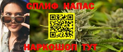 гашик Новодвинск