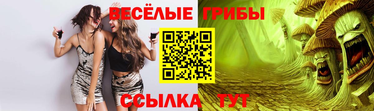 Прохладный  Галлюциногенные грибы Cubensis  Вход с VPN  Галлюциногенные грибы Magic Shrooms 